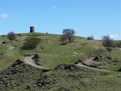 Picture 44